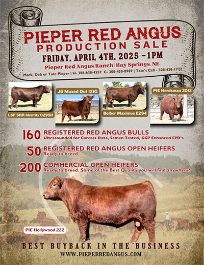 Pieper Red Angus Production Sale: Friday 4th, 2025 1:00 PM; Pieper Red Angus Ranch; Hay Springs, NE