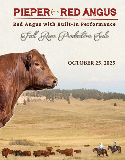 Pieper Red Angus Production Sale: Friday 4th, 2025 1:00 PM; Pieper Red Angus Ranch; Hay Springs, NE